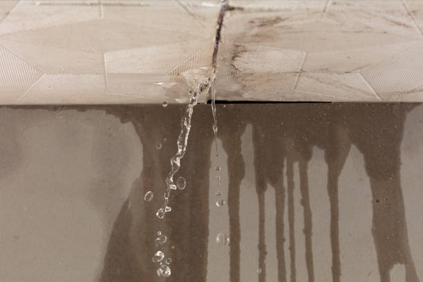Professional Burst Pipe Cleanup technician working in Dittmer, MO